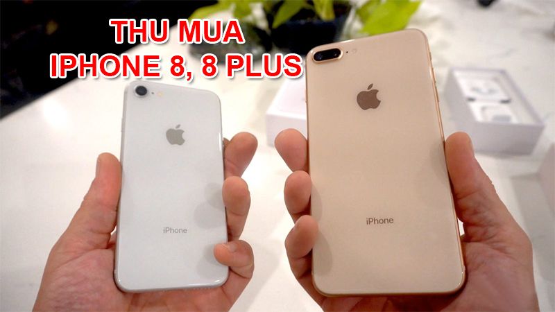 iPhone 8 Plus Hàng Chính Hãng - Quốc Tế Giá Rẻ 2023